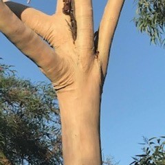 Neue Laserbehandlungen! Neue Laserbehandlungen!
